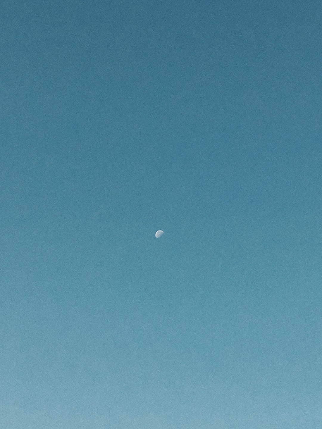 Soft Blue-Gray (image credits: unsplash)