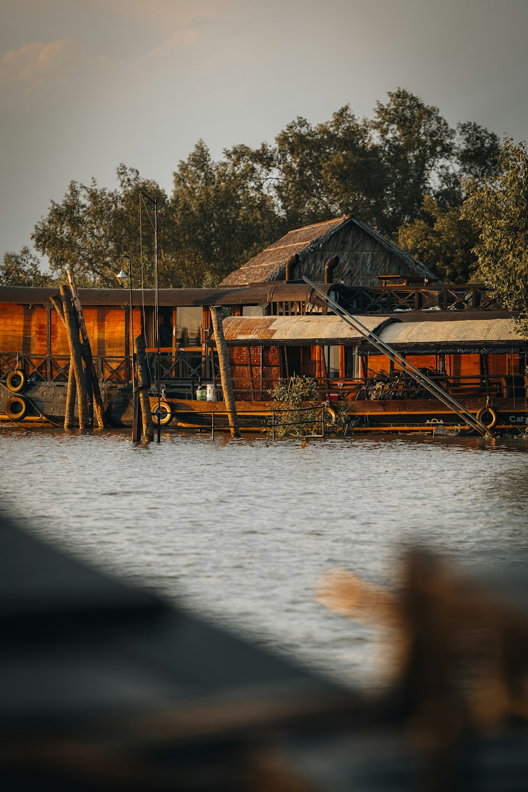 Blue21, Netherlands: Innovation Meets Resistance (image credits: unsplash)