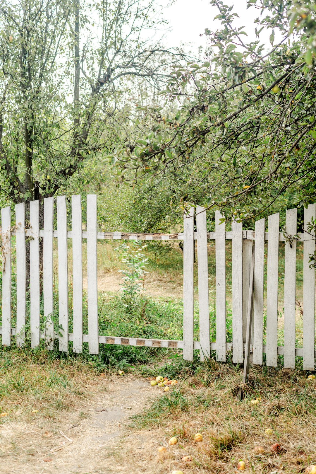 Obstructing Visibility for Drivers and Pedestrians (image credits: unsplash)