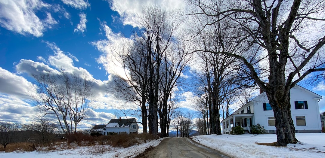 A Hidden Gem Worth Discovering (image credits: unsplash)