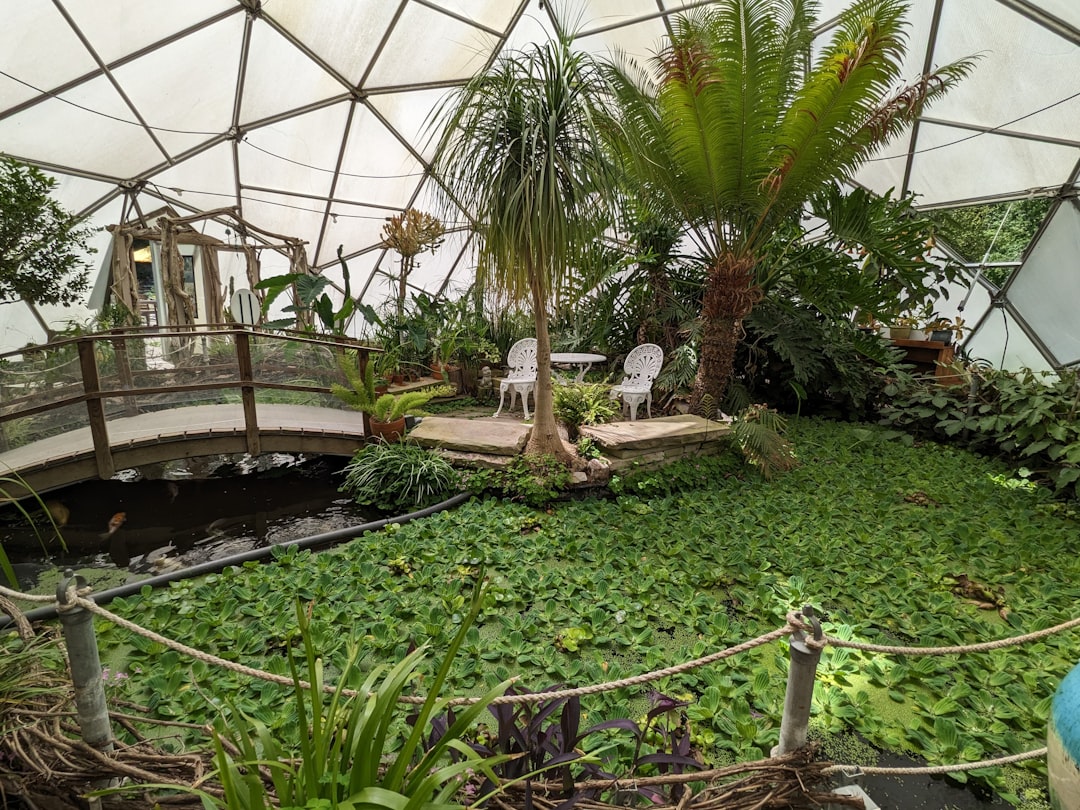 The Floating Garden, Singapore: Green Dreams, Rough Reality (image credits: unsplash)