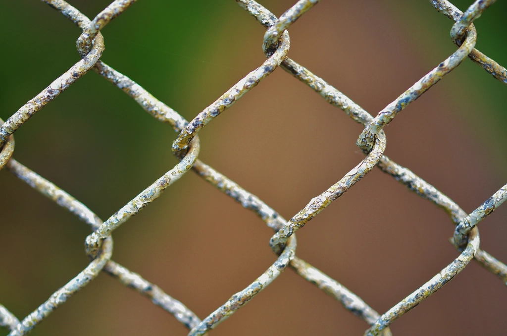 The Billion-Dollar Fence Industry's Hidden Influence (image credits: rawpixel)