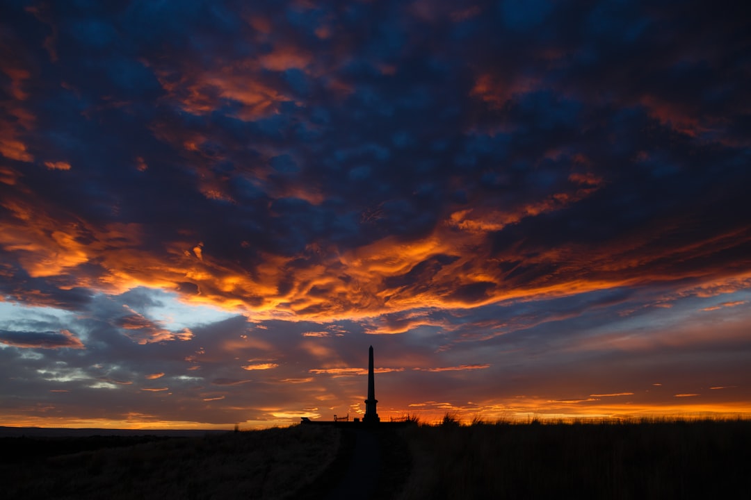 Walla Walla, Washington: A Wine Country Boomtown (image credits: unsplash)