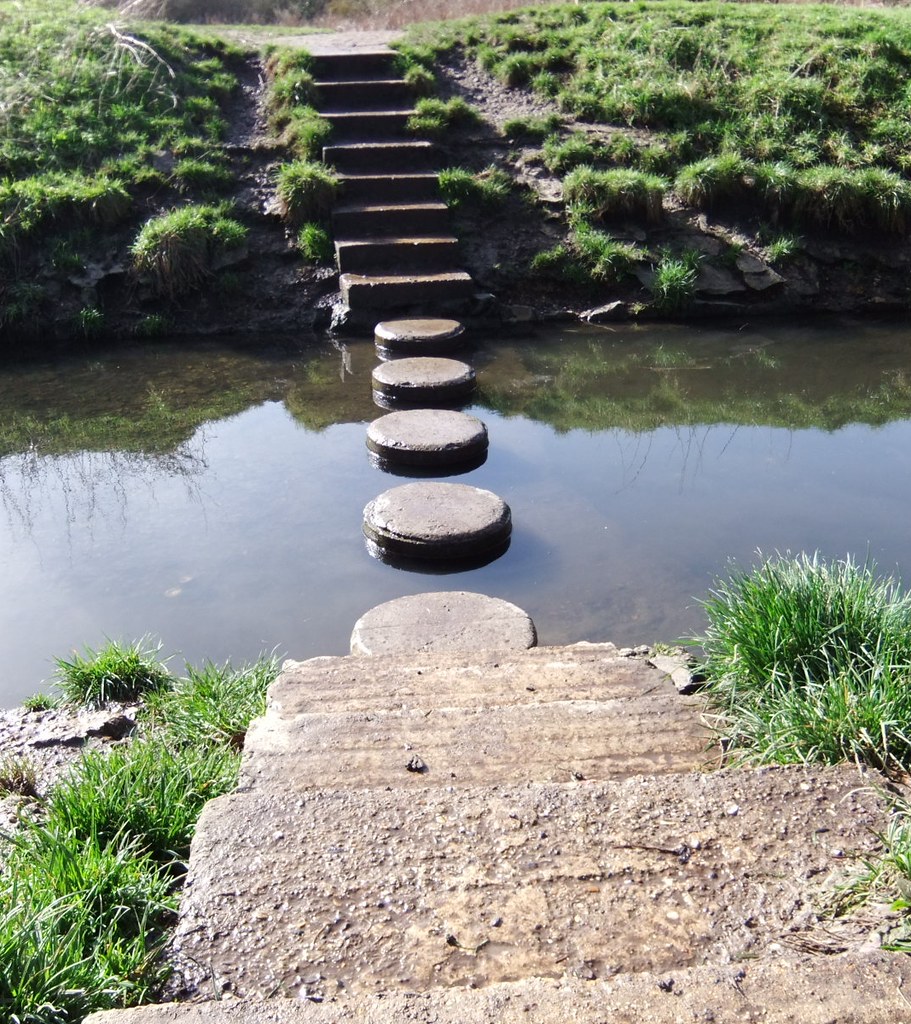 Decorative Stepping Stones or Pavers (image credits: flickr)