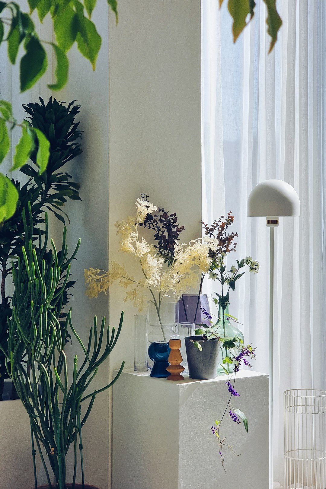 Natural Light Maximization (image credits: unsplash)