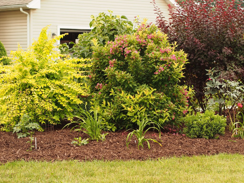 Upgraded Garden Mulch and Edging (image credits: flickr)