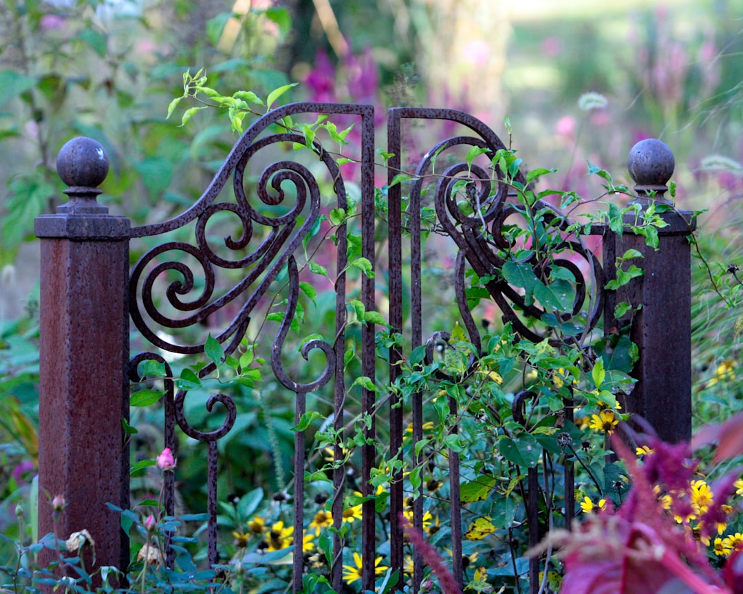 Decorative Garden Gates and Fencing (image credits: unsplash)