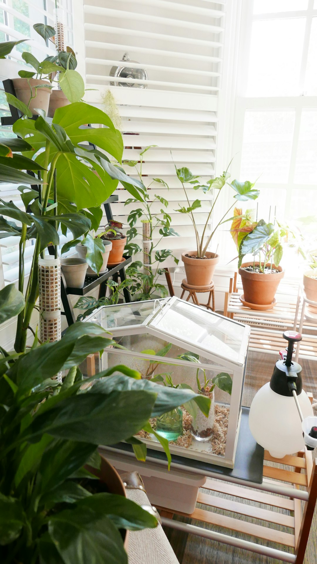 Automated Indoor Gardening Systems (image credits: unsplash)