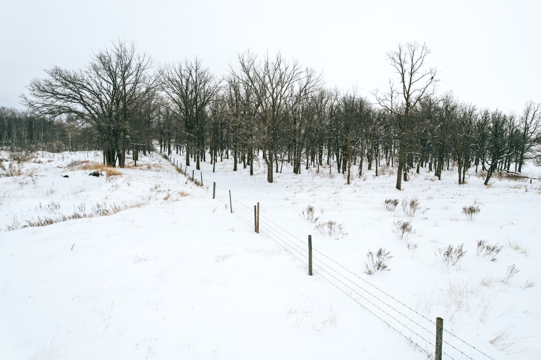 Budget-Friendly Seasonal Strategies (image credits: unsplash)