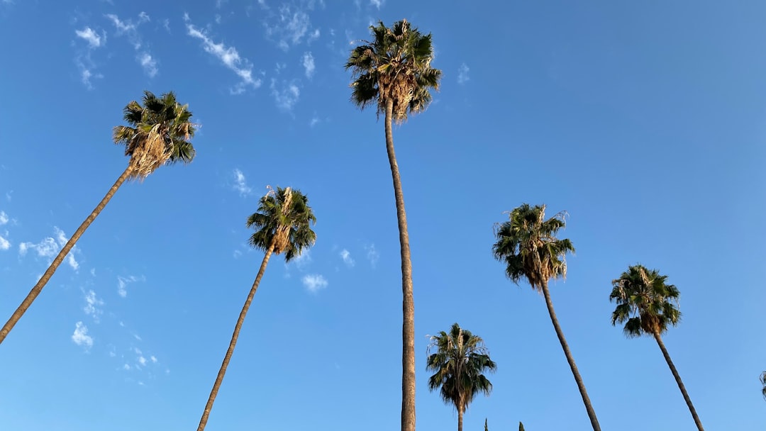 California (image credits: unsplash)