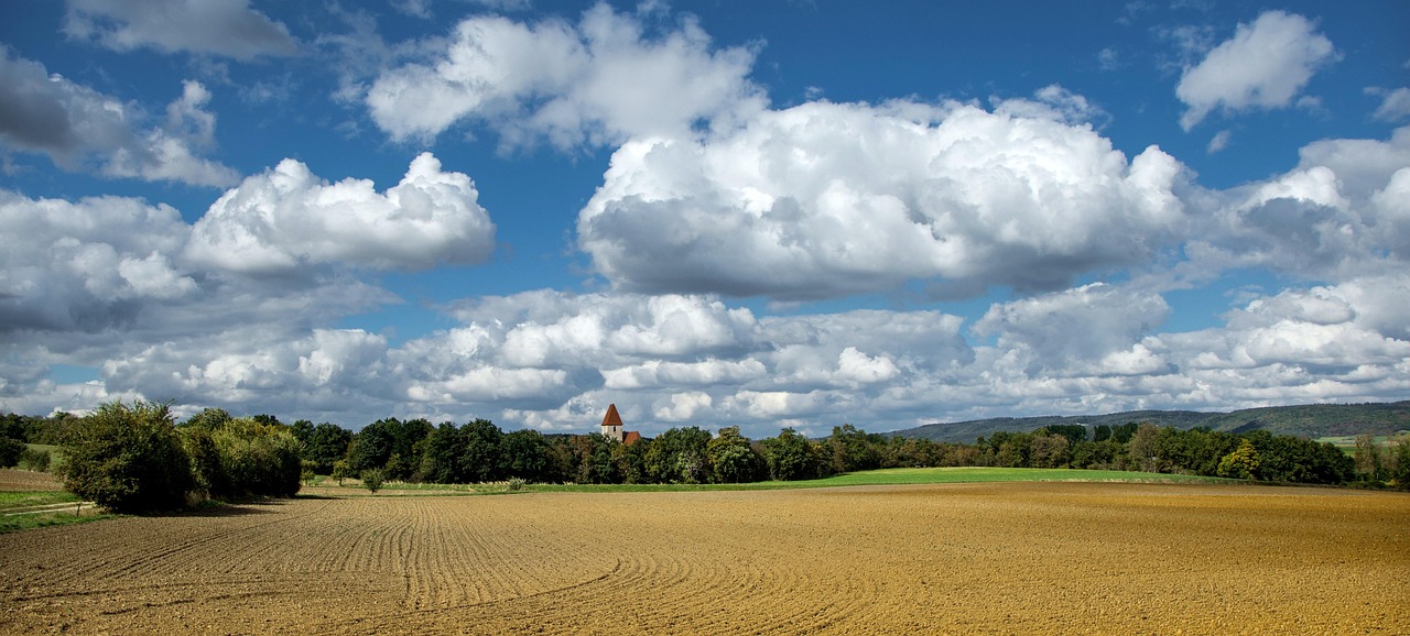 Abundant Land & Low Population Density (image credits: pixabay)