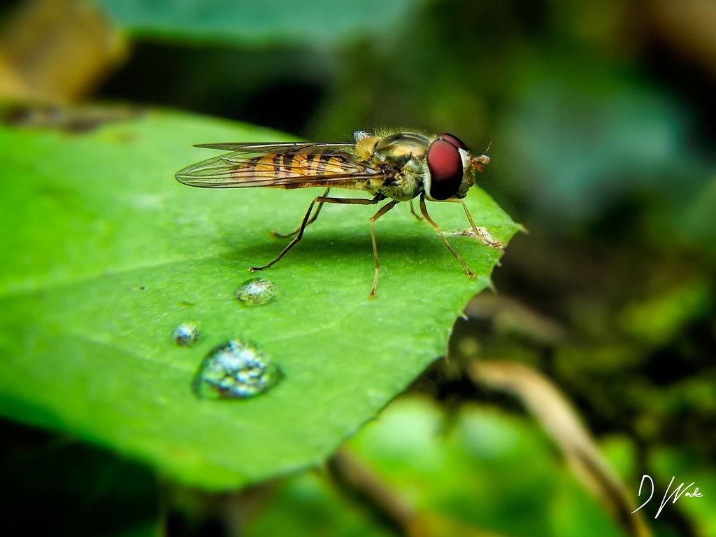 The Underground Hotel System (image credits: flickr)