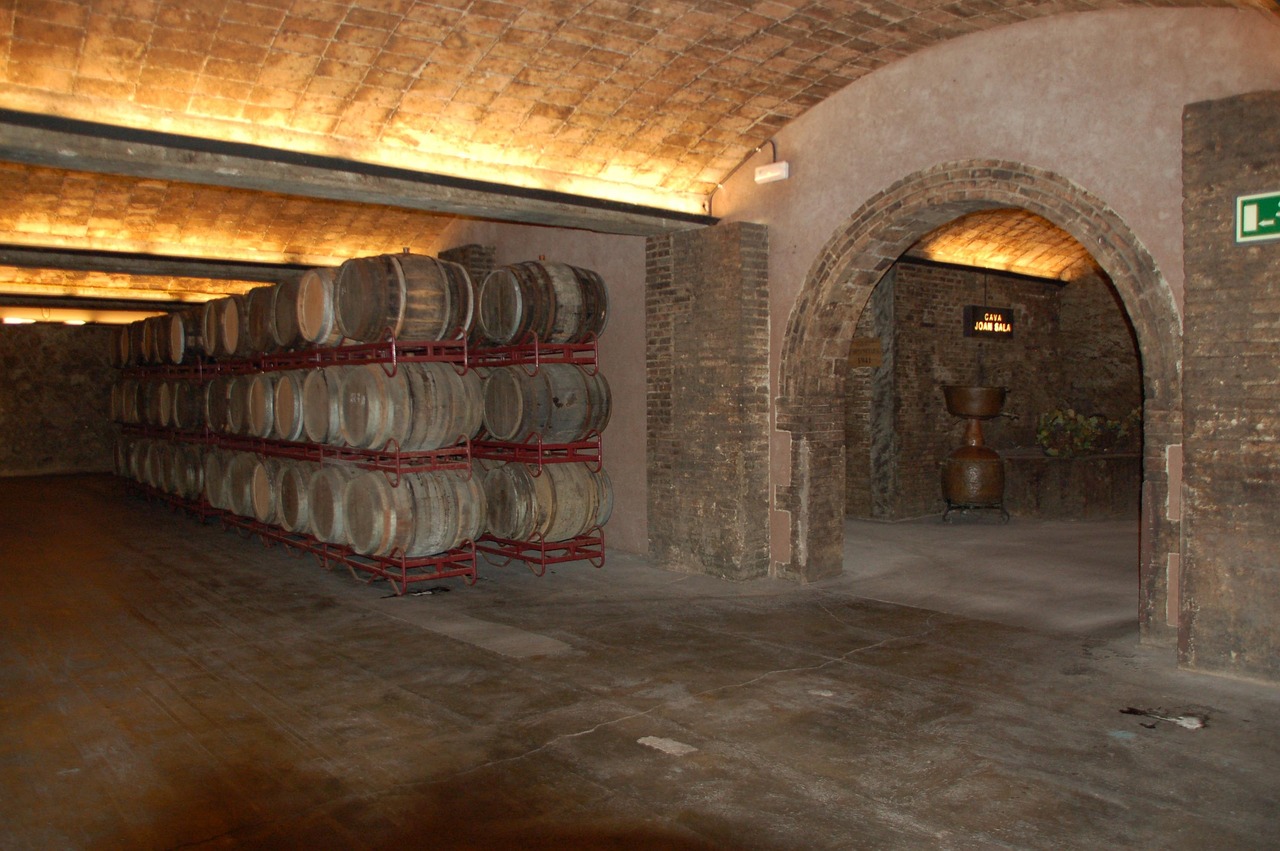 The Evolution of Wine Cellars (image credits: pixabay)