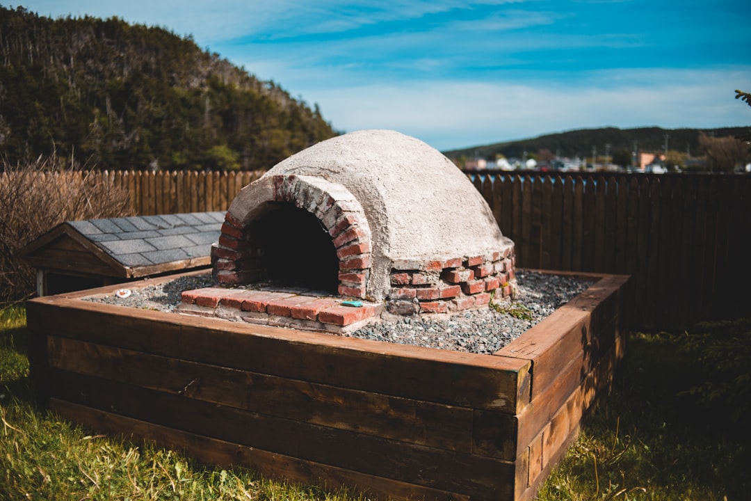 Outdoor Bread Ovens and Baking (image credits: unsplash)