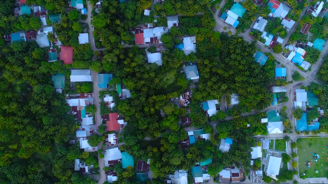 The Regulatory Landscape: Surprisingly Accommodating (image credits: unsplash)