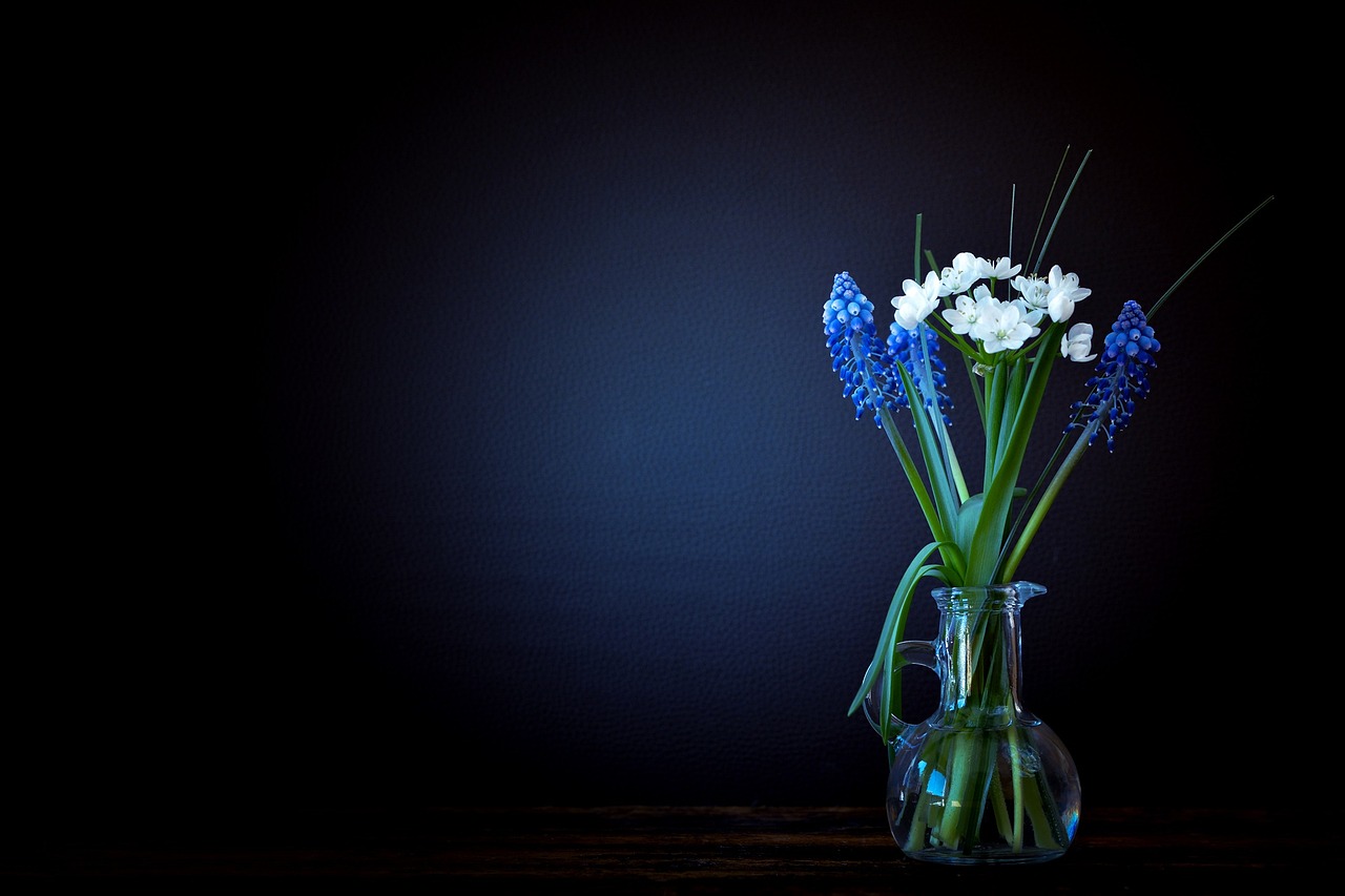 Unused Vases and Glassware Multiply (image credits: pixabay)