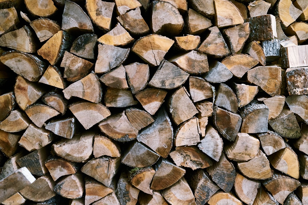 The Rise of Natural Materials (image credits: unsplash)