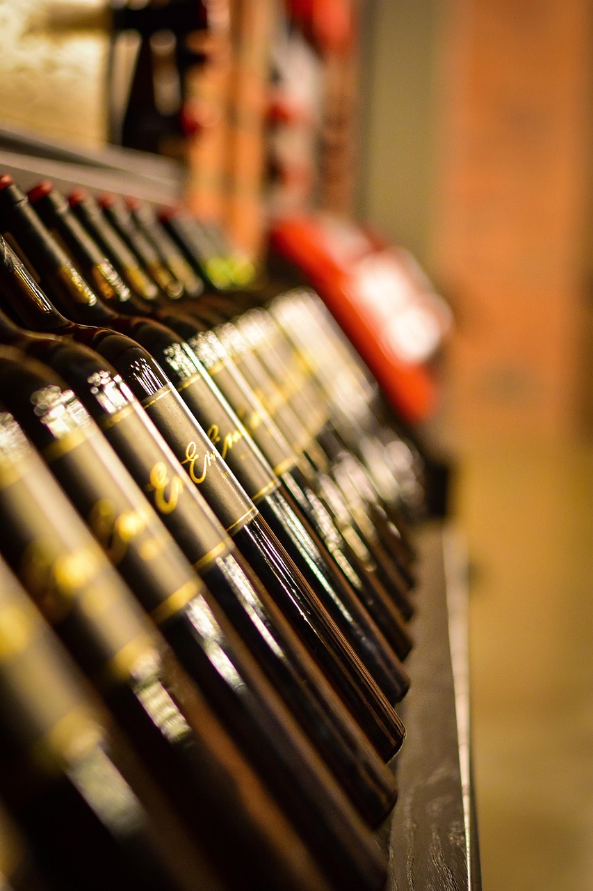 The Role of Professional Designers (image credits: pixabay)