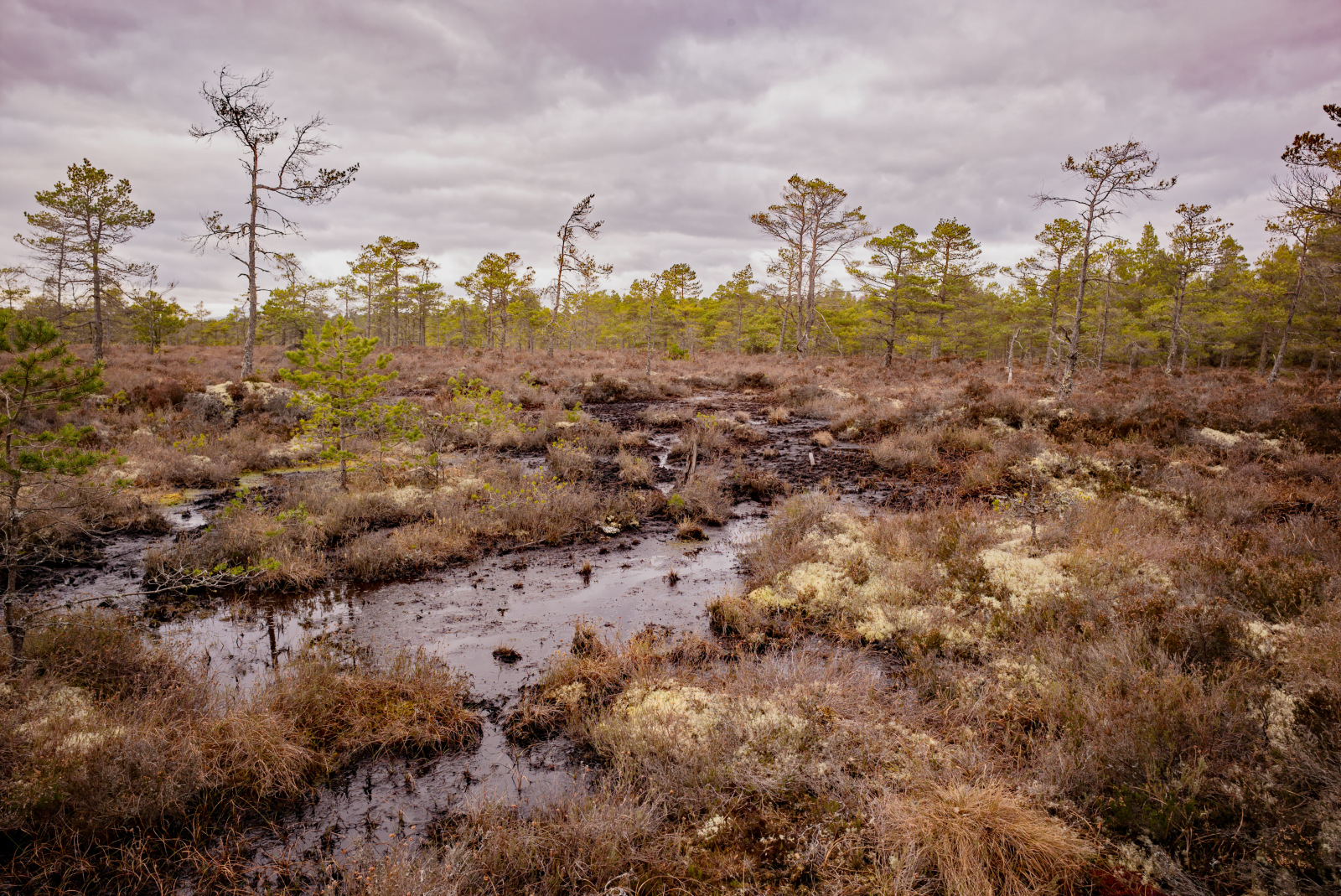 The Psychological Aspect of Hidden Spaces (image credits: wikimedia)