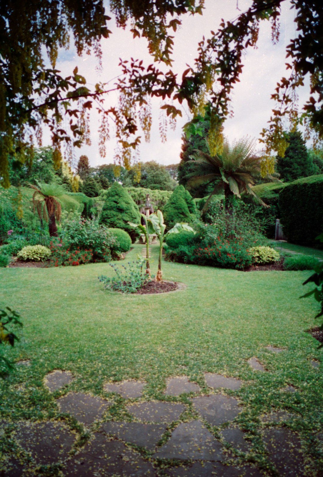 Victory Gardens Return to Suburbia (image credits: unsplash)