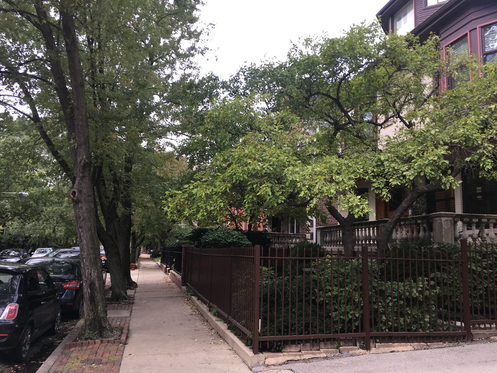 The Great Fence Divide Is Bigger Than You Think (image credits: flickr)