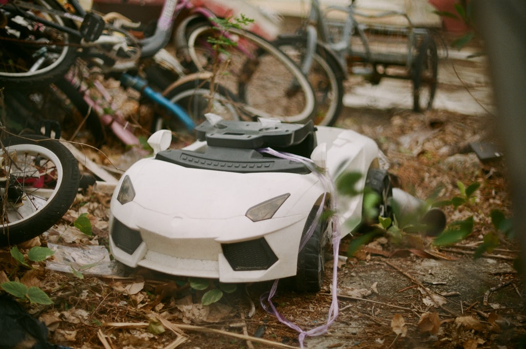 Timeline of Destruction (image credits: unsplash)