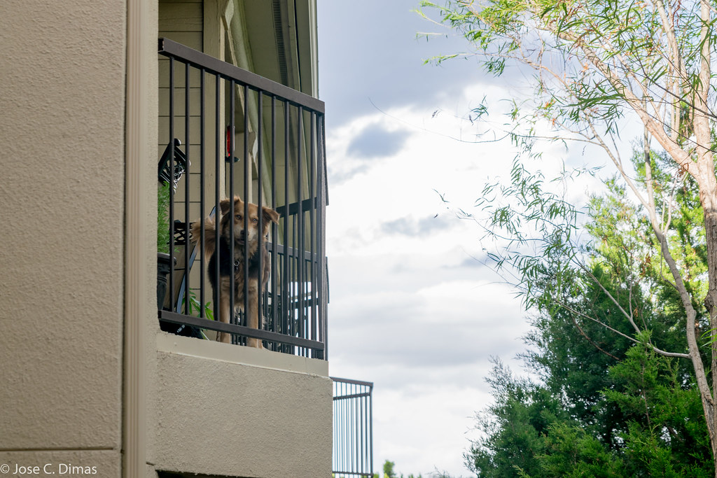 The Science Behind Neighborly Connections (image credits: flickr)