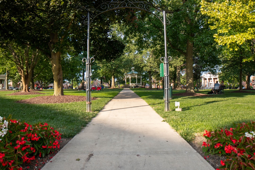 Choosing the Perfect Location (image credits: unsplash)