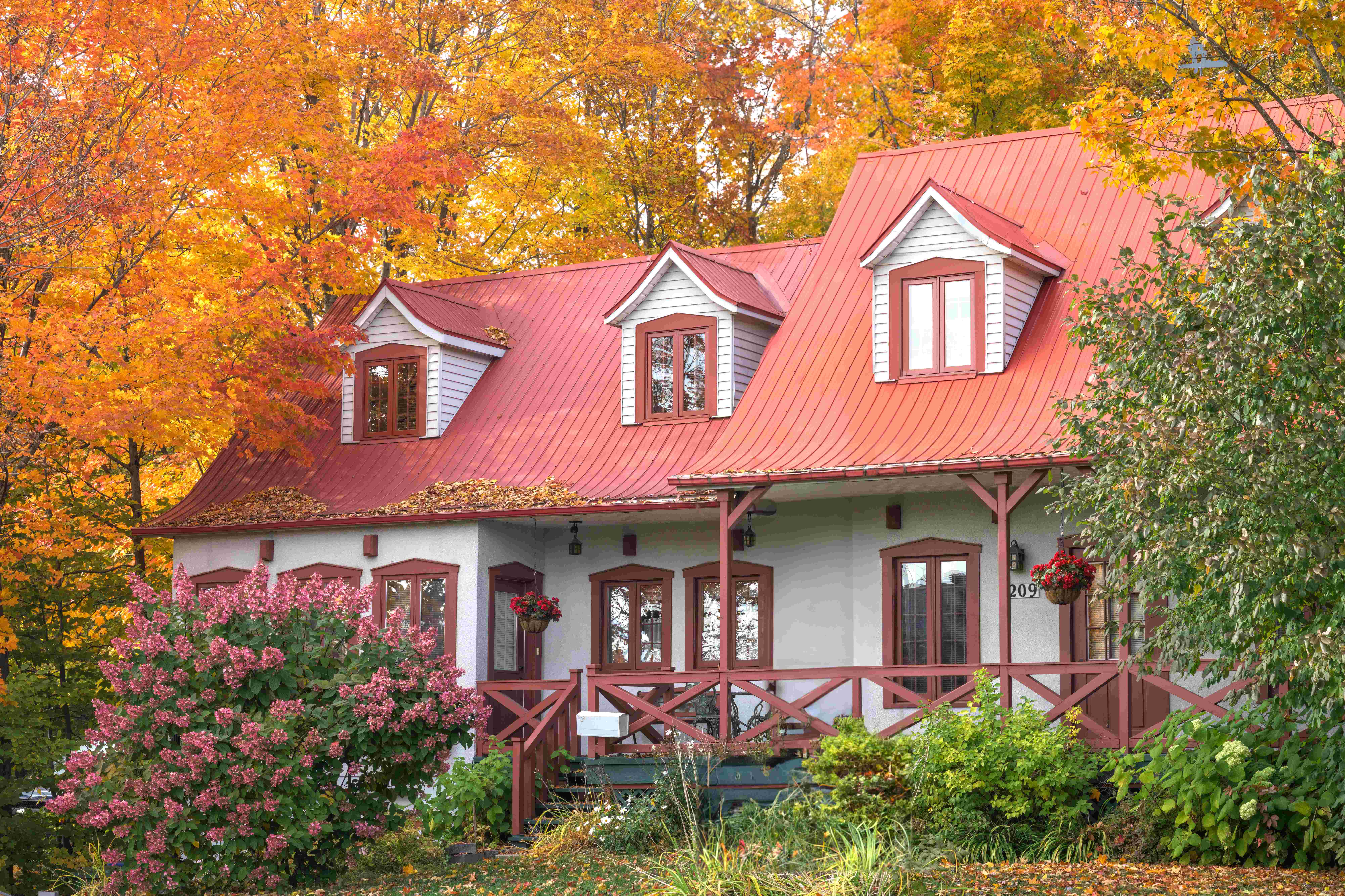 Monochromatic Color Schemes Are Losing Their Spark (image credits: wikimedia)