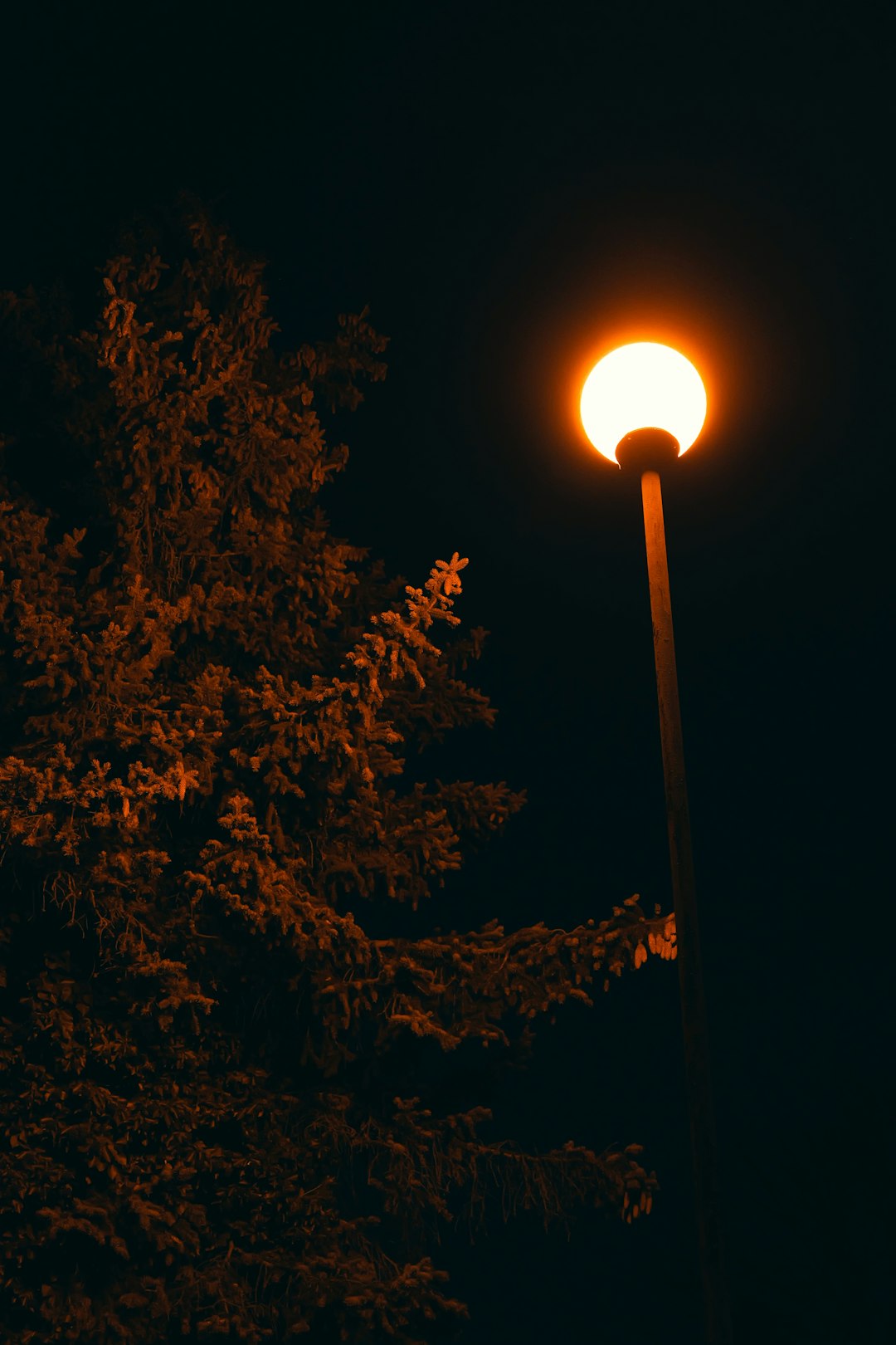 Upward-Facing Landscape Spotlights (image credits: unsplash)