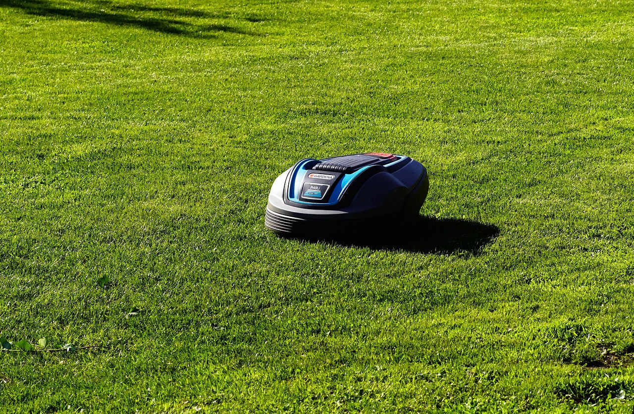 Technology Meets Tradition in Sustainable Garden Equipment (image credits: pixabay)
