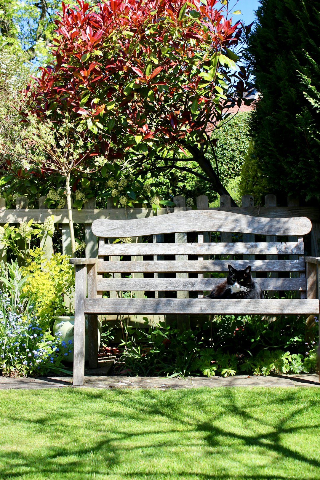 Upgraded Outdoor Furniture and Seating (image credits: unsplash)