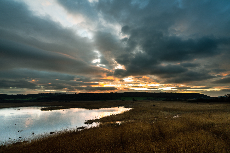 Water Conservation Systems (image credits: stocksnap)
