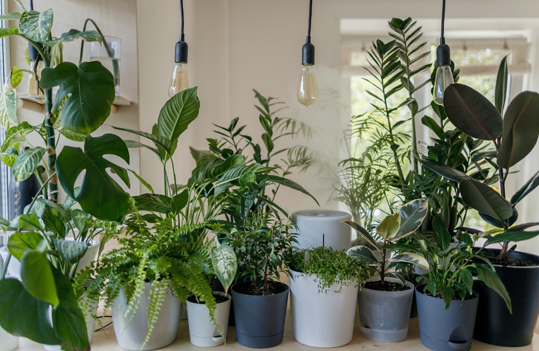 Indoor Greenery and Biophilic Design