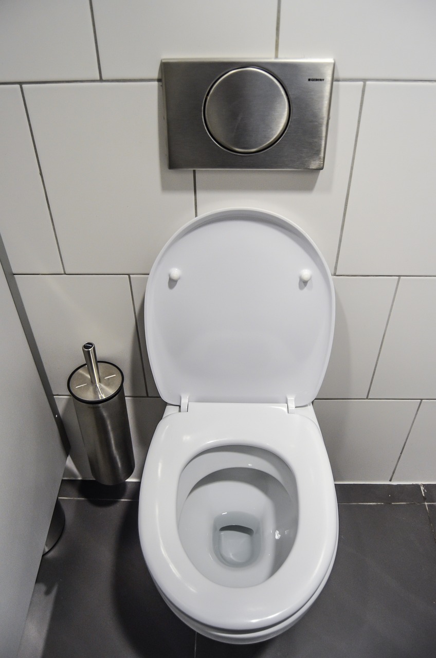 Toilet Base and Behind the Toilet (image credits: pixabay)