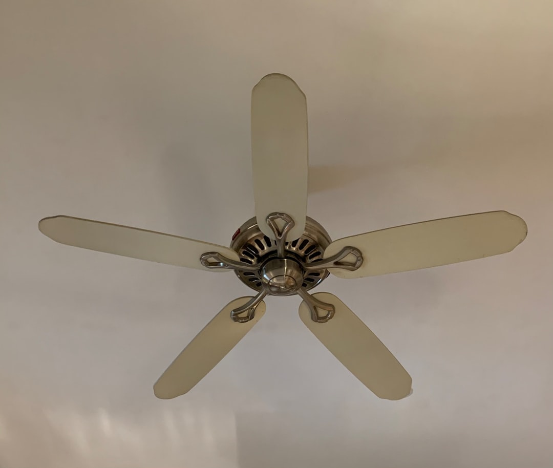 Running Ceiling Fans in the Wrong Direction (image credits: unsplash)