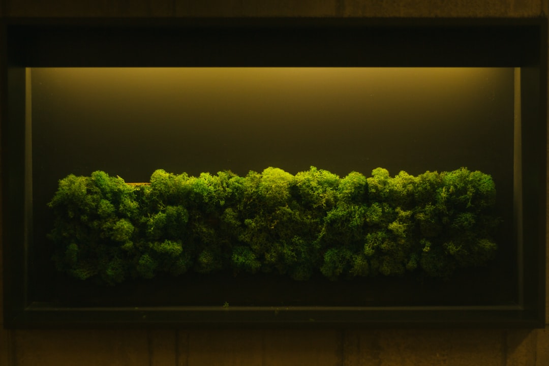 Moss Green and Cream: Nature’s Hug Indoors (image credits: unsplash)
