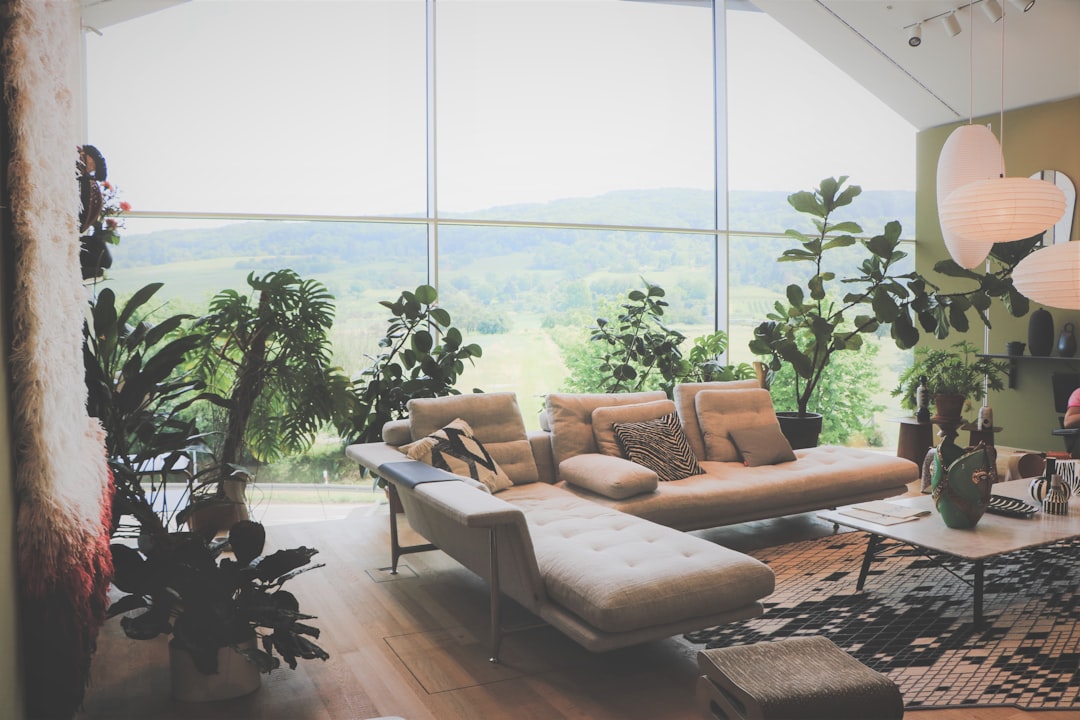Outdoor-Indoor Living Zones (image credits: unsplash)