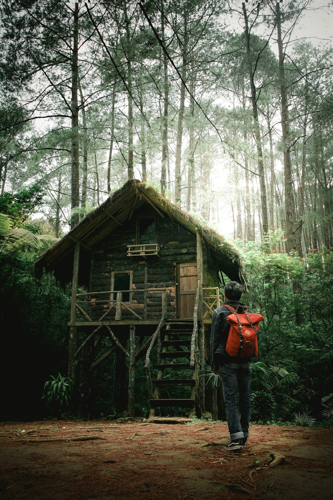 Treehouse Residences (image credits: unsplash)