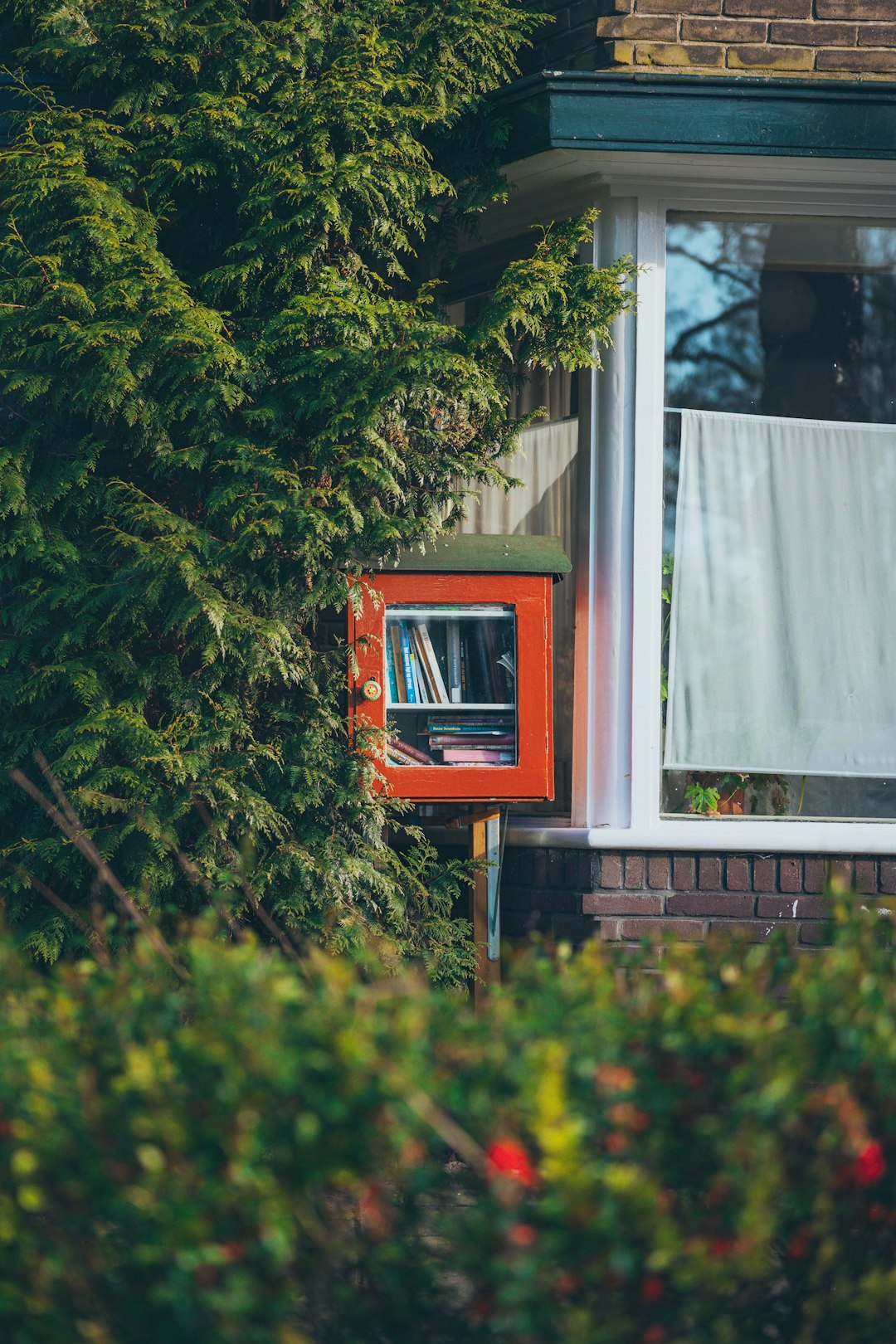 Why Your Neighborhood Needs This Now (image credits: unsplash)