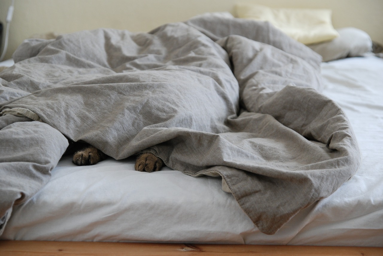 Luxury Beyond the Bedroom (image credits: pixabay)
