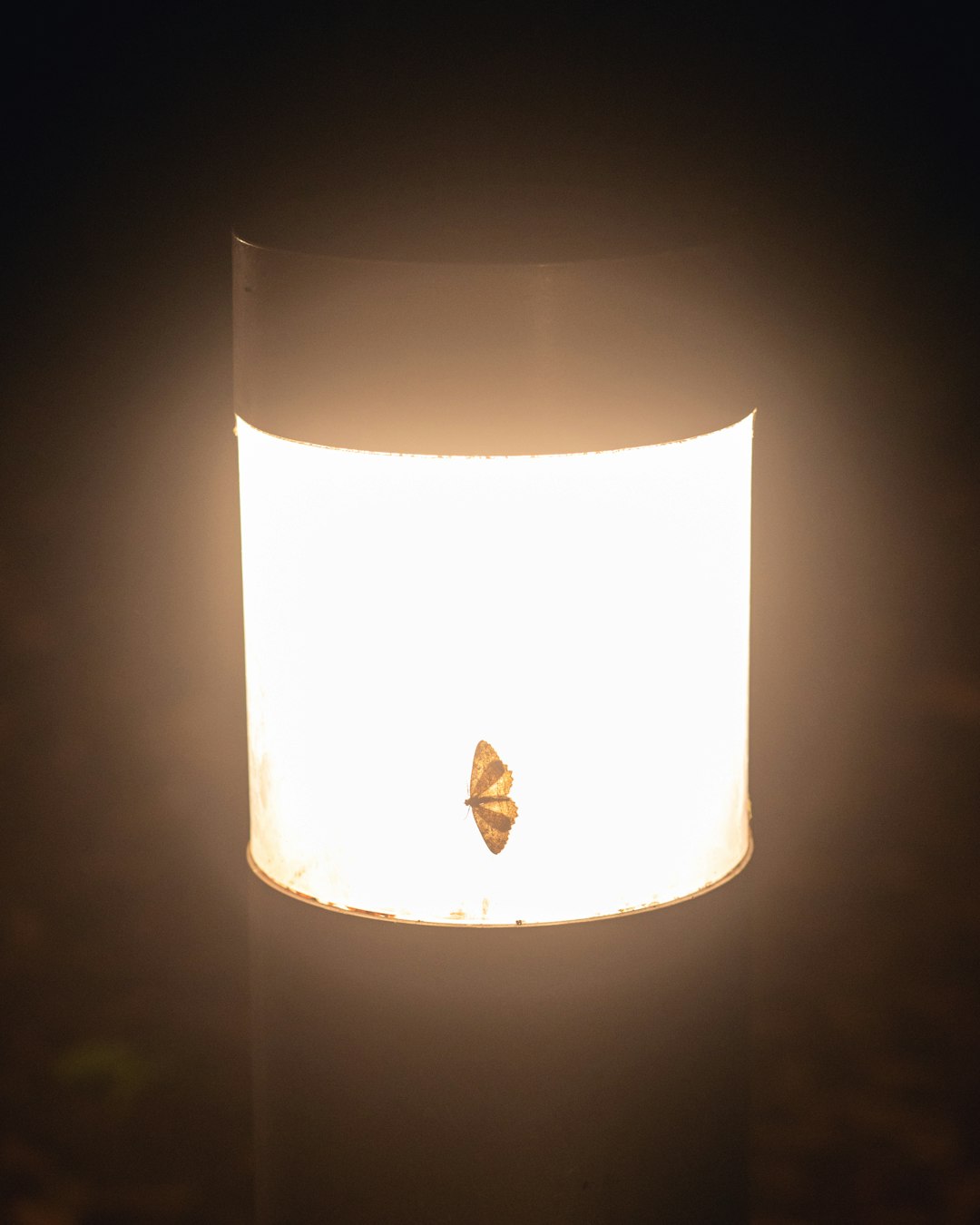 Halogen Floor Lamps (image credits: unsplash)