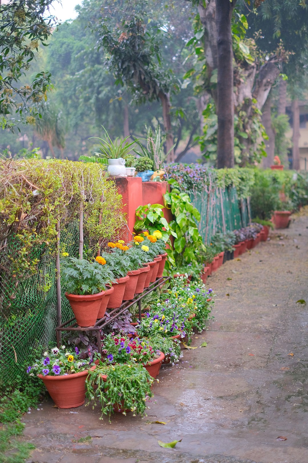 Forest Bathing Meets Backyard Therapy (image credits: unsplash)