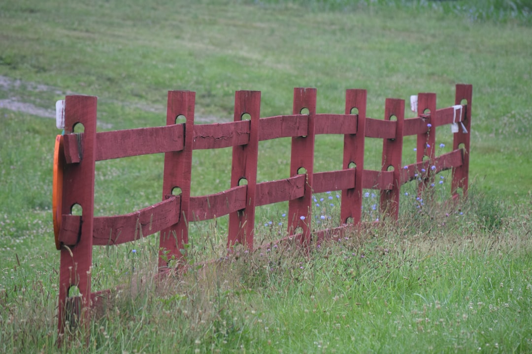 The New Fence Rebellion: When Neighbors Fight Back (image credits: unsplash)