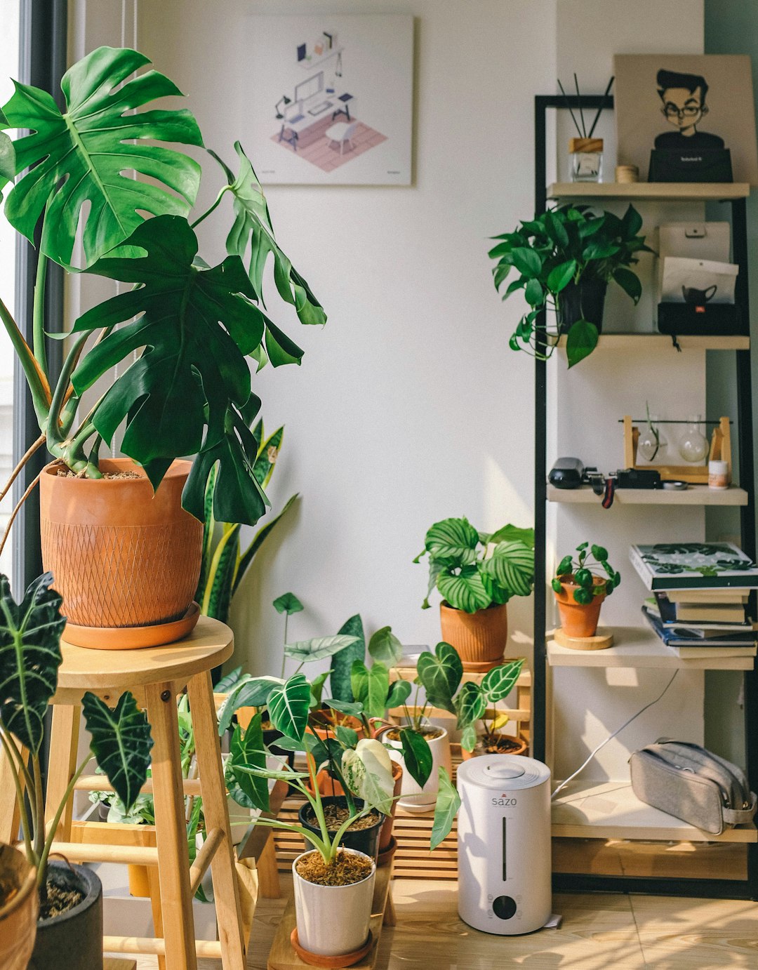 Indoor Plants Improve Air Quality & Decor