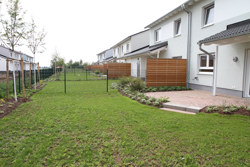 The Surprising Science Behind Open Yards and Happiness (image credits: flickr)