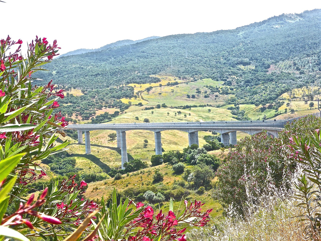 Traverse City, Michigan: Where Nature Lovers Find Their Paradise (image credits: pixabay)