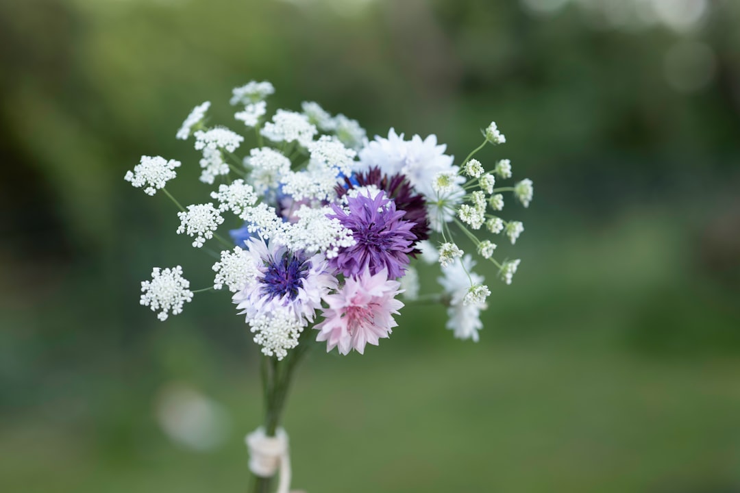 The Attention Revolution: Why Gardening Beats Apps (image credits: unsplash)