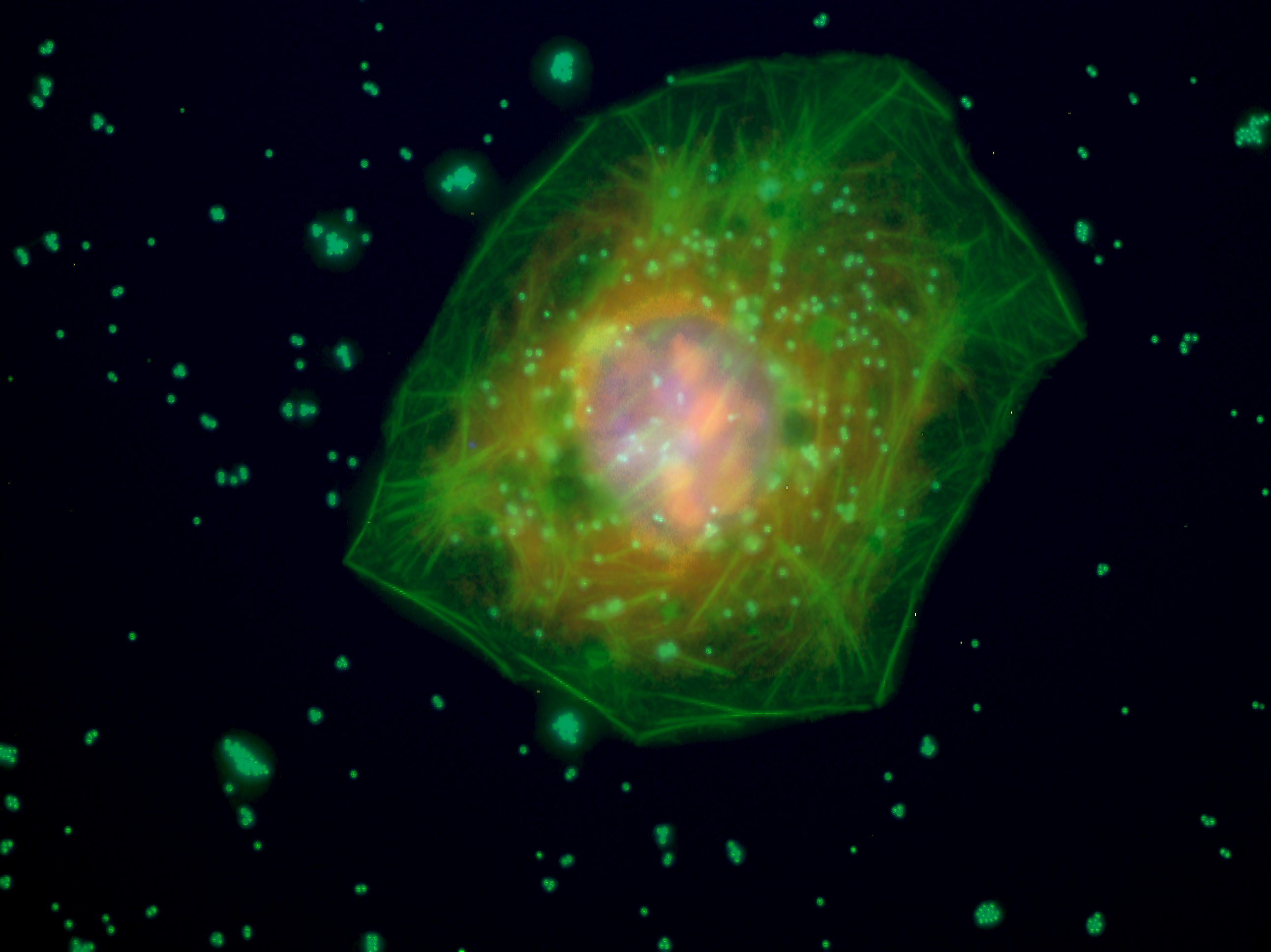 The Health Bomb Nobody Talks About (image credits: wikimedia)