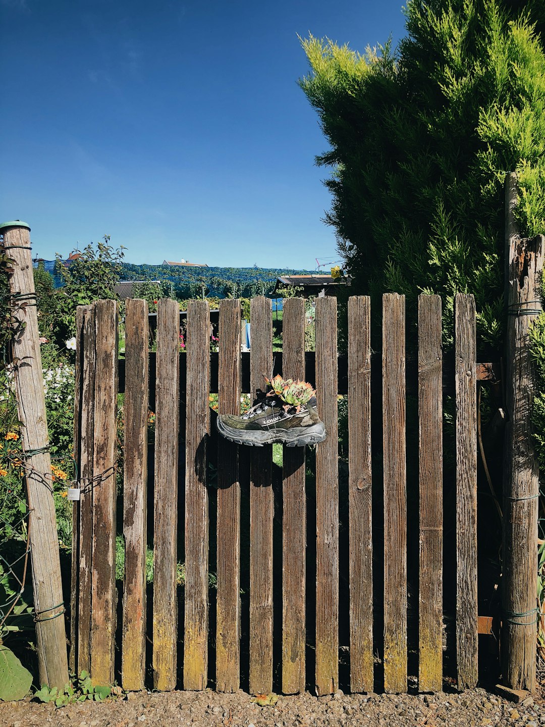 The Fence Fight With Your Neighbors (image credits: unsplash)